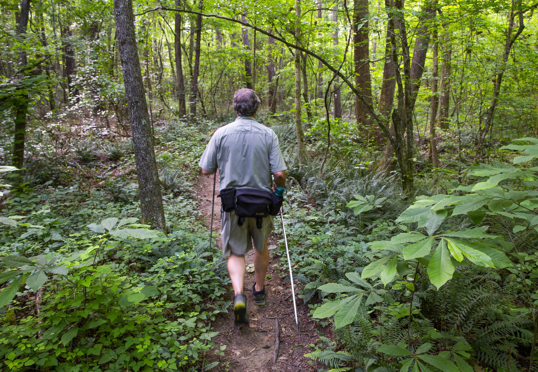 Cascades Preserve hiking trail